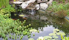Outdoor pond Installation