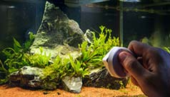 Entretien aquarium eau douce