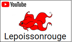 chaine Youtube Lepoissonrouge
